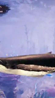 The Humpback Whales Screenshot 7