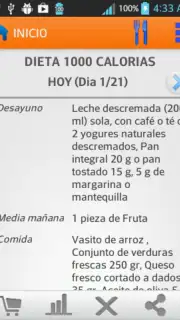 Diets for losing weight Screenshot 8