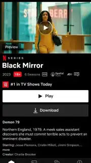 Netflix Screenshot 5