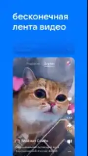 VK Clips Screenshot 2