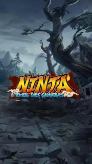 Ninja Screenshot 3