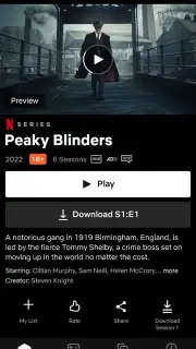 Netflix Screenshot 11