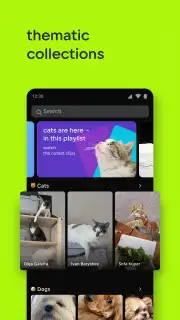 VK Clips Screenshot 13